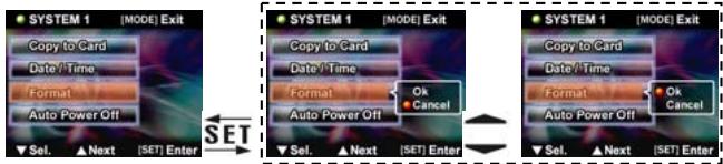 GENIUS D1211 - Formatting - 1