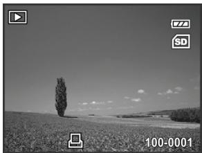 GENIUS D500 - DPOF Settings - 4