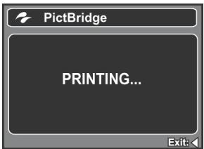 GENIUS D500 - Printing images - 6