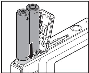 GENIUS D500 - Preparation - 2