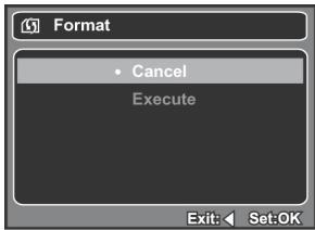 GENIUS D500 - Formatting the Memory Card or Internal Memory - 2