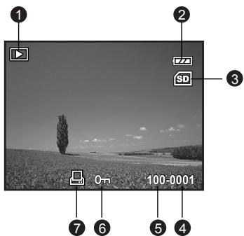 GENIUS D500 - Playback mode - still image playback - 1