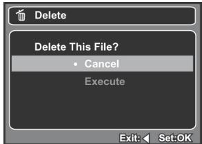GENIUS D500 - Erasing Images - 3