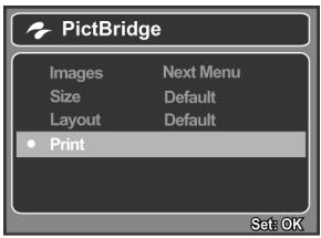 GENIUS D500 - Printing images - 5