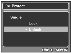 GENIUS D500 - Canceling the Protection - 1