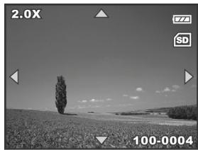 GENIUS D500 - Playing back - Still Images - 2