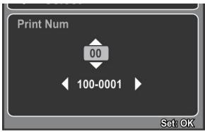 GENIUS D500 - Printing images - 4