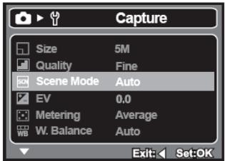 GENIUS D500 - Using the Scene Mode - 1