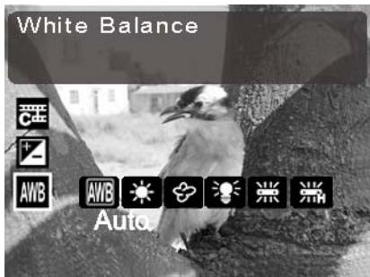 GENIUS D5123 - White balance - 1