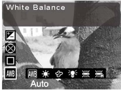 GENIUS D5123 - White balance - 1