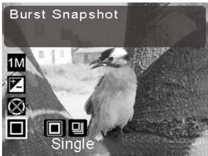 GENIUS D5123 - Burst snapshot - 1
