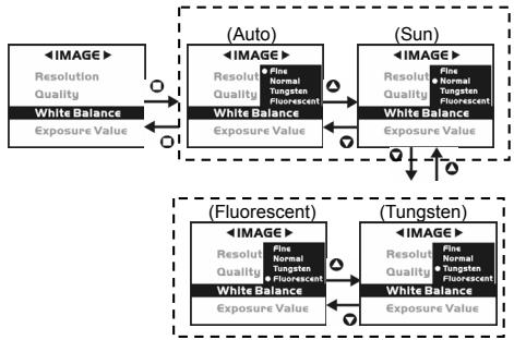 GENIUS D610 - White Balance: - 1