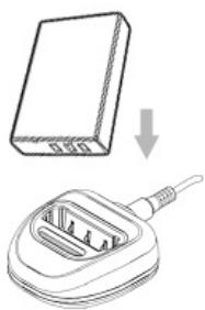 GENIUS DV1210 - Charging the Battery - 1