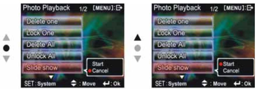 GENIUS DV1210 - Auto playback - 2