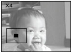 GENIUS DV410 - Zoom playback - 2