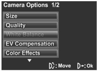 GENIUS DV505 - White balance - 1