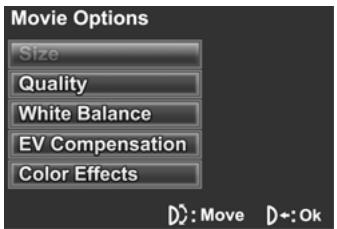GENIUS DV505 - Video size - 1