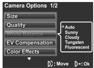 GENIUS DV505 - White balance - 2