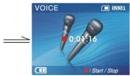 GENIUS DV5122 - Begin recording - 2