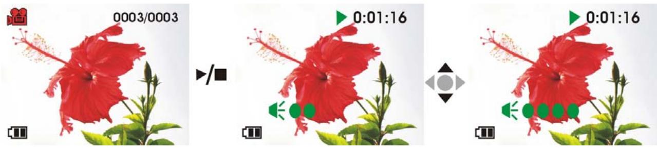GENIUS DV5122 - Video playback - 2