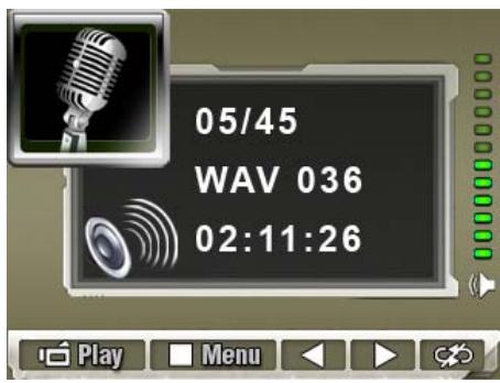 GENIUS DV5131 - Display screen - 1