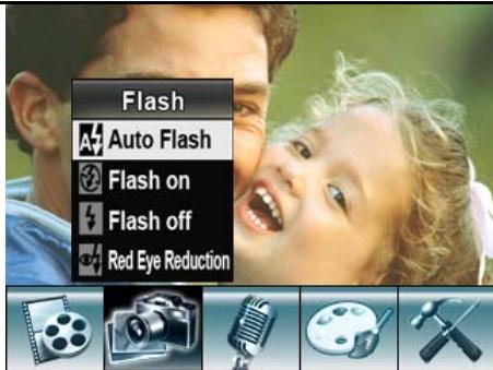 GENIUS DV5131 - Flash Option - 2