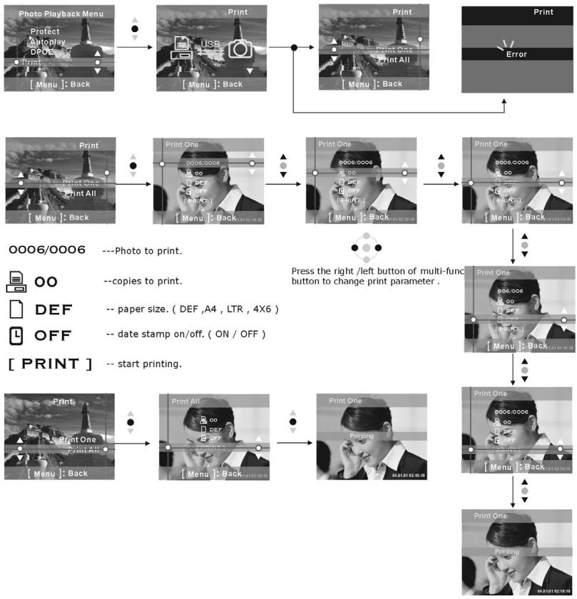 GENIUS DV600 - Print all - 1