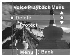 GENIUS DV600 - Voice playback menu: - 2