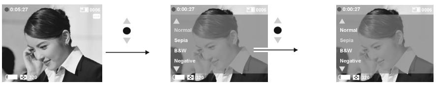 GENIUS DV600 - Special effects: - 1
