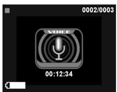GENIUS DV600 - Voice playback menu: - 1