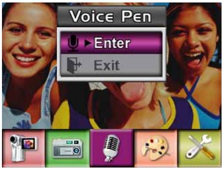 Voice Pen Enter Exit
