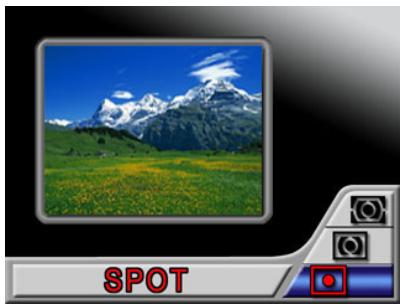 GENIUS DV611 - AE Metering Option - 5