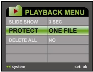GENIUS DV813 - Protecting Videos and Images - 1