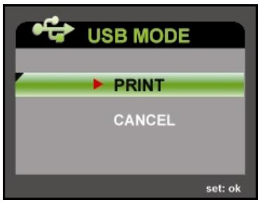 GENIUS DV813 - CONNECTING THE DIGITAL VIDEO CAMERA DIRECTLY TO THE PRINTER FOR PRINTING IMAGES (PICTBRIDGE FUNCTION) - 6