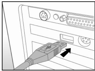 GENIUS DV813 - Step 2: Connecting the Digital Video Camera to your computer - 1