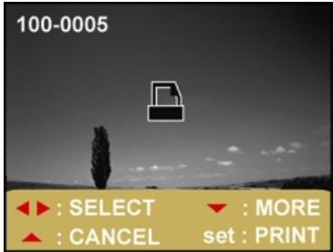 GENIUS DV813 - CONNECTING THE DIGITAL VIDEO CAMERA DIRECTLY TO THE PRINTER FOR PRINTING IMAGES (PICTBRIDGE FUNCTION) - 4