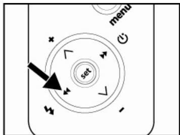 GENIUS DV813 - Setting the Flash Mode - 2