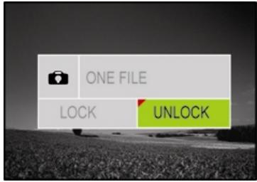 GENIUS DV813 - Protecting Videos and Images - 2