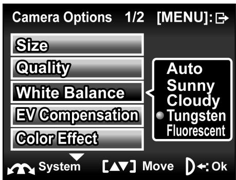 GENIUS DV815Z - White balance - 2