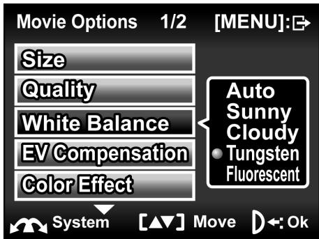 GENIUS DV815Z - White balance - 2