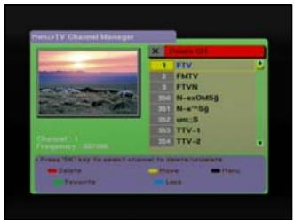GENIUS DVB-T31 - Delete Channel - 1