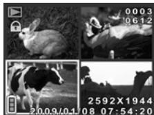 GENIUS G-SHOT DV511 - Thumbnail mode - 1