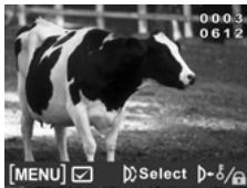 GENIUS G-SHOT DV511 - Protect - 4