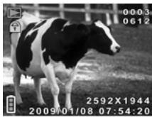 GENIUS G-SHOT DV511 - Viewing images - 1