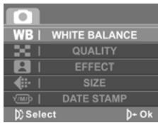 GENIUS G-SHOT DV511 - White balance - 1