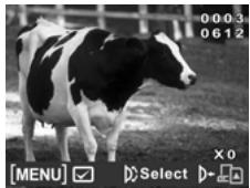 GENIUS G-SHOT DV511 - 1: Single Print - 1