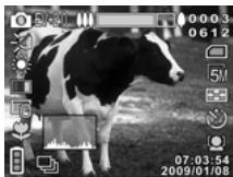 GENIUS G-SHOT DV511 - Taking a still picture - 1
