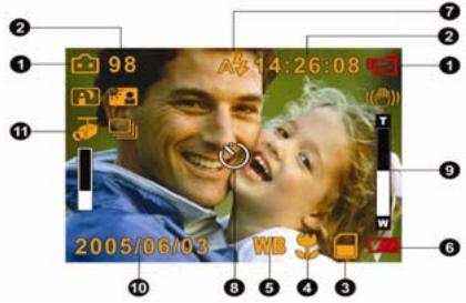 GENIUS HD500 - LCD Monitor Information - 1
