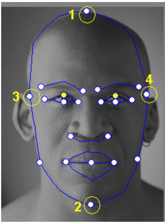 GENIUS ISLIM 321R - Tips and Suggestions Facial Fitting Tips - 1