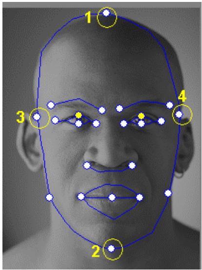 GENIUS LOOK 110 - Tips and Suggestions Facial Fitting Tips - 1